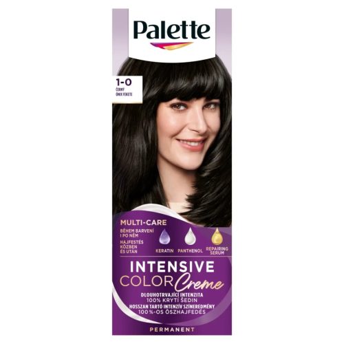 Palette Intensive Color Creme hajfesték 1-0 (N1) ónix fekete